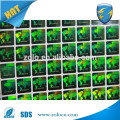 Zolo packaging protection serial number custom holographic sticker for qc pass